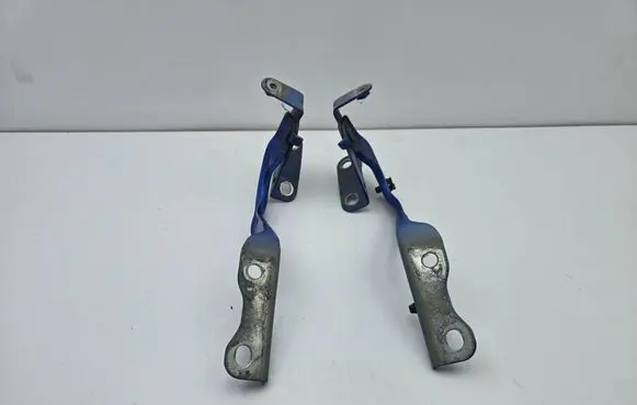Toyota C-HR I Engine bonnet/hood hinges