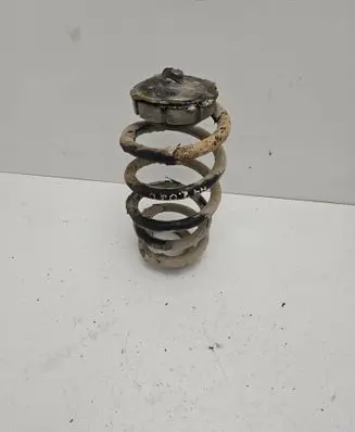 Audi A4 S4 B6 8E 8H Rear coil spring