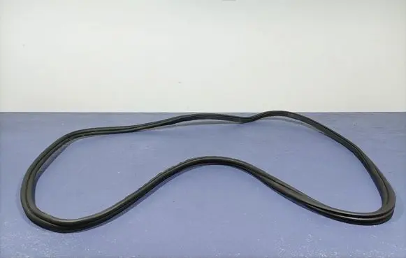 BMW X7 G07 Front door rubber seal 7431142