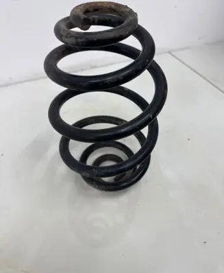 Rear coil spring