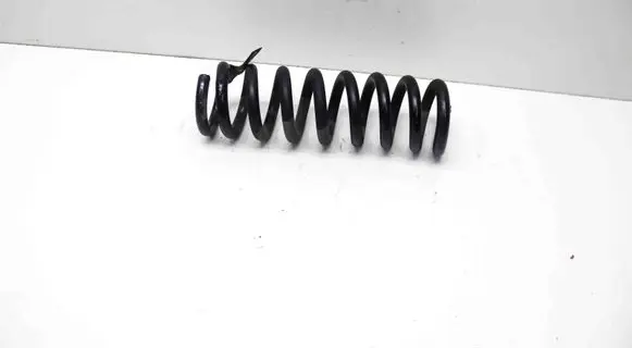Rear coil spring