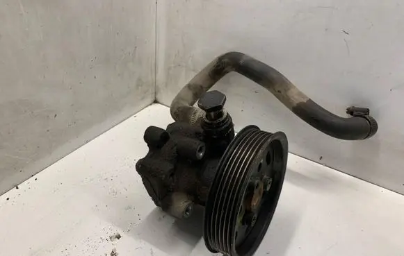 Volkswagen Sharan Power steering pump 1F7H