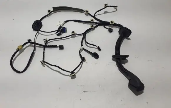 Renault Arkana Other wiring loom 241254422R