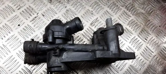 Thermostat/thermostat housing
