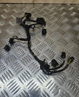 Other wiring loom