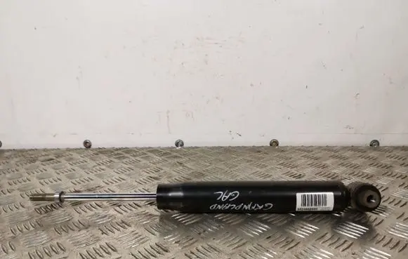 Opel Grandland X Rear shock absorber/damper 9824958980