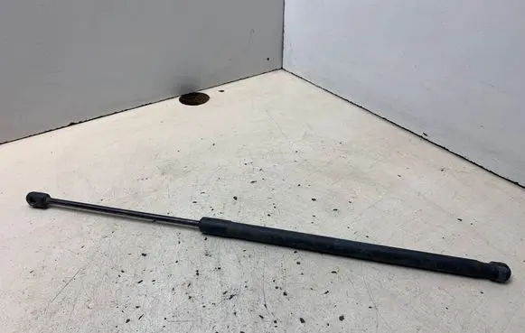 Tailgate/trunk strut/damper