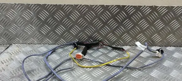 Front door wiring loom