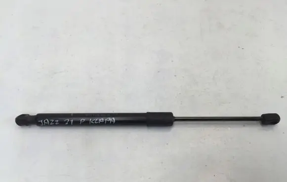 Tailgate strut