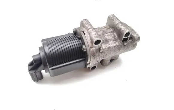 EGR valve