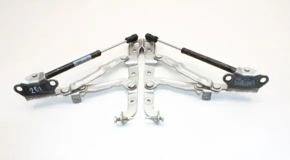 Chrysler 300 - 300C Tailgate/trunk/boot hinge