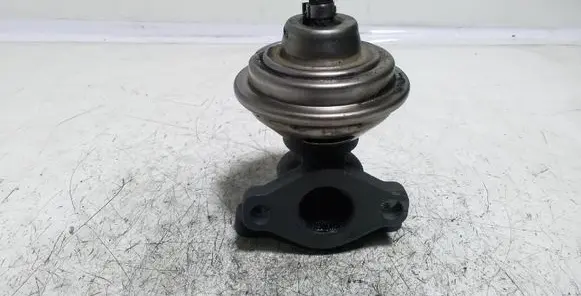 Audi A4 S4 B5 8D EGR valve 028131501E 7217202