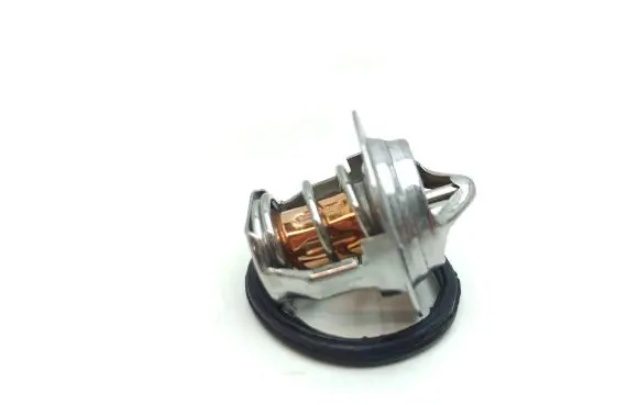 Aixam Crossover Thermostat 1532173014