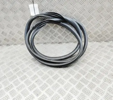 Renault Arkana Rubber seal rear door 769240825R