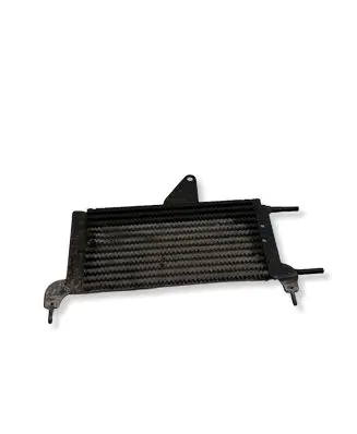Peugeot 1007 Fuel cooler (radiator) 643543