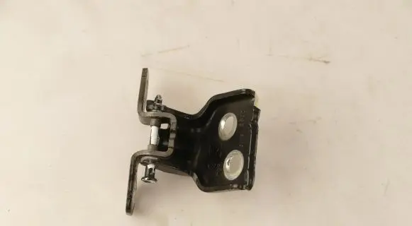 Dacia Sandero Rear door lower hinge 76R