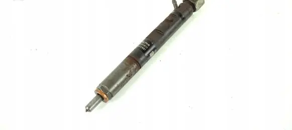 Renault Kangoo I Fuel injector EJBR05102D