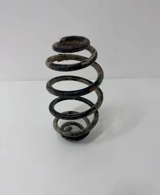 Rear coil spring
