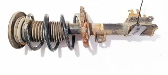 Front coil spring