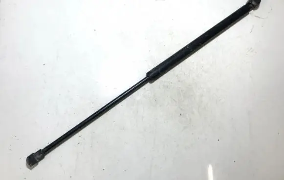 Tailgate/trunk strut/damper