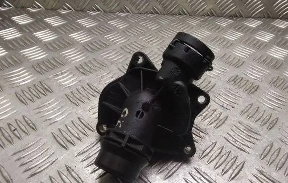 Thermostat/thermostat housing