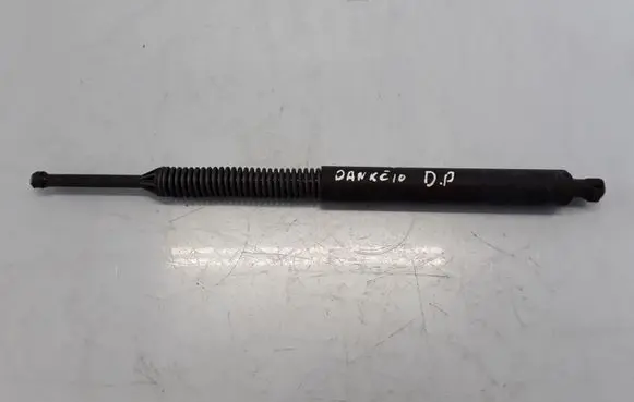 BMW 5 F10 F11 Tailgate strut 7266350