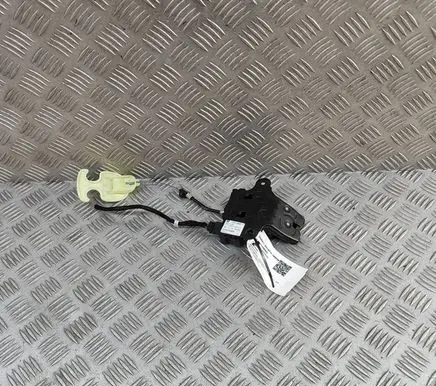 Chevrolet Camaro Tailgate/trunk/boot lock/catch/latch 545255965 13501988