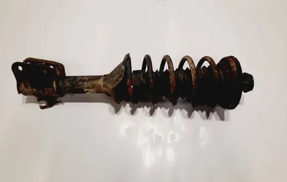 Land Rover Freelander Rear shock absorber with coil spring 