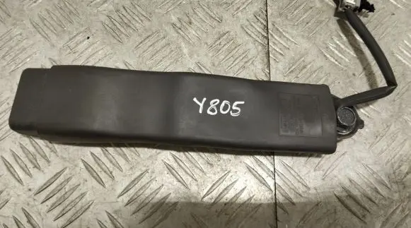 Tesla Model S Front seatbelt buckle 2460917