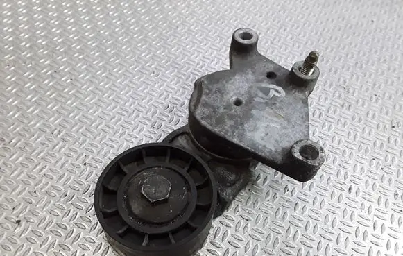 Peugeot 307 Generator/alternator belt tensioner 419484