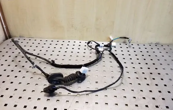KIA Sportage Rear door wiring loom 916503U020