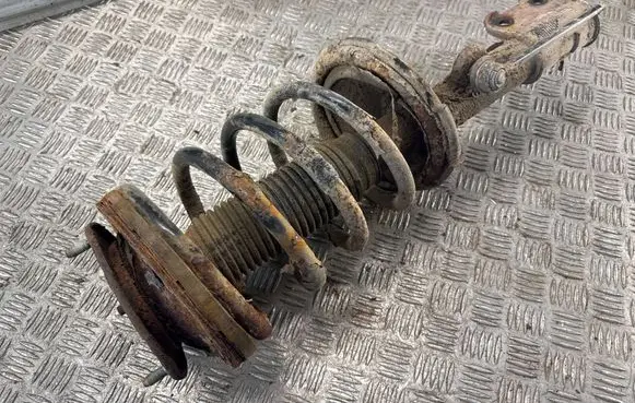 Hyundai Santa Fe Front shock absorber/damper
