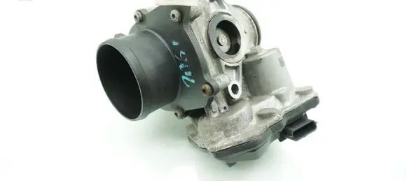 Throttle body valve