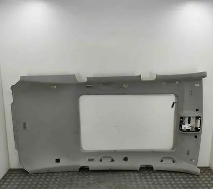 Volkswagen PASSAT B7 Headlining 3AF867501B