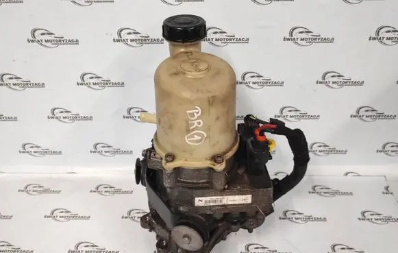 Dacia Duster Power steering pump 491107773R V29004468N