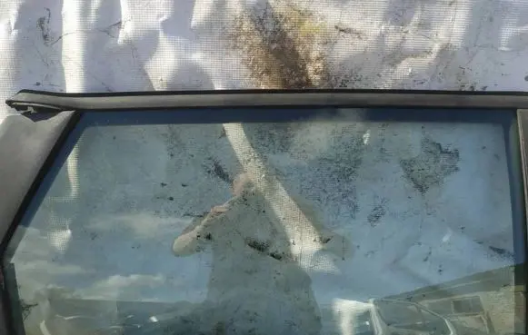 Nissan Primera Rear door window glass