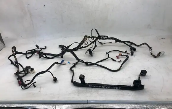 BMW X4 G02 Panel wiring 64520141