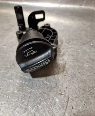 Opel Insignia A Oil filler cap 55586618 315342345