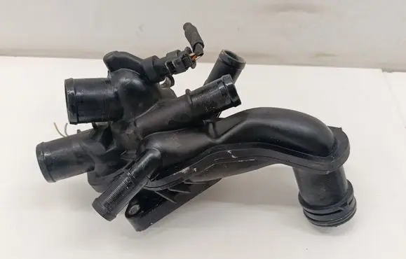 Thermostat/thermostat housing
