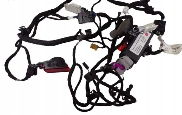 Audi A8 S8 D3 4E Front door wiring loom 4E1971035E
