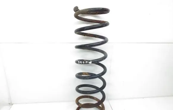 Ford Focus Rear coil spring