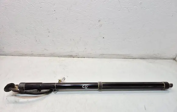 Nissan Rogue Tailgate strut 905614BA4A