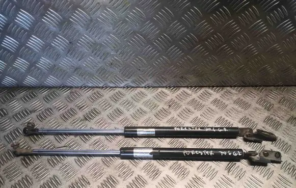 Tailgate/trunk strut/damper