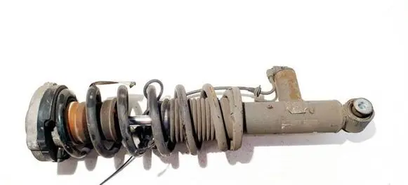 Rear shock absorber/damper