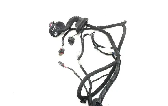 Tesla Model 3 Rear door wiring loom 206796600B