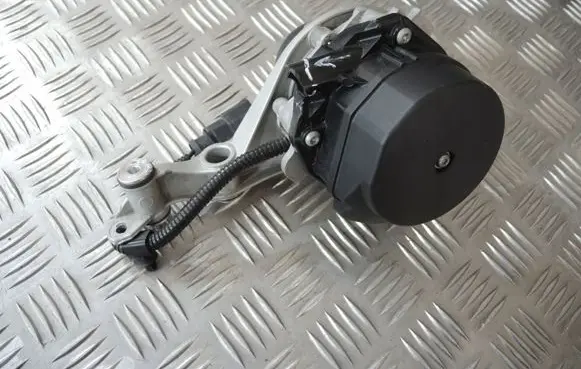 Porsche Cayenne (92A) Secondary air pump 7P5131082A