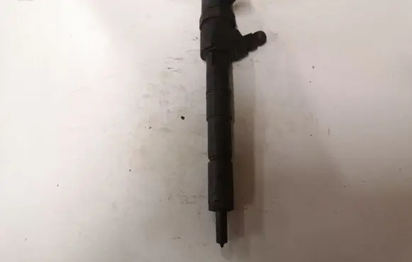 Opel Insignia A Fuel injector 0445110423