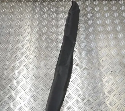 Dodge Grand Caravan Fender end trim 8682