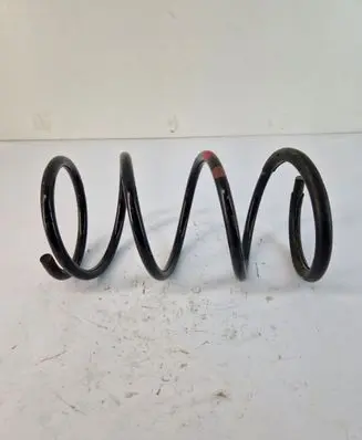 Front coil spring