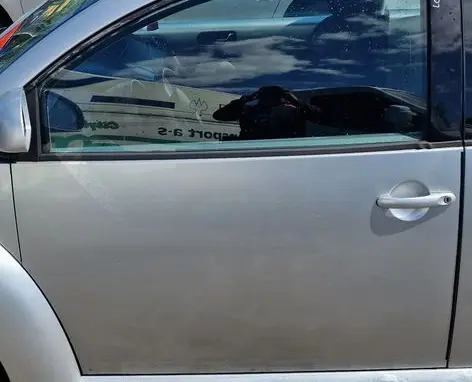Volkswagen New Beetle Front door